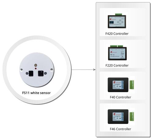 FS11 white graph image
