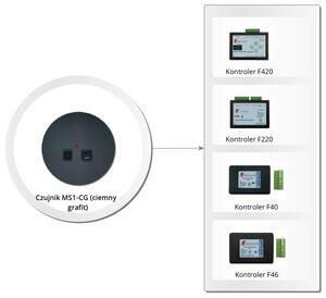 MS1-CG (ciemny grafit) graph image